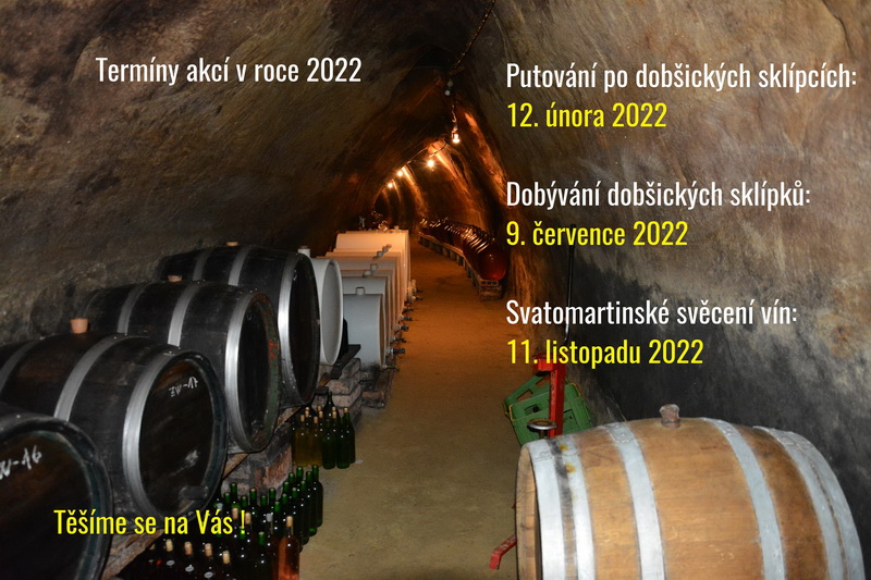akce SDV v roce 2022