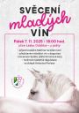 svcení mladých vín 2025